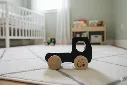 wooden Push Toy - Truck